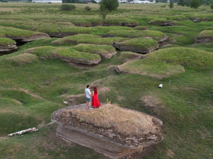 Söe arboreetum, Estonia